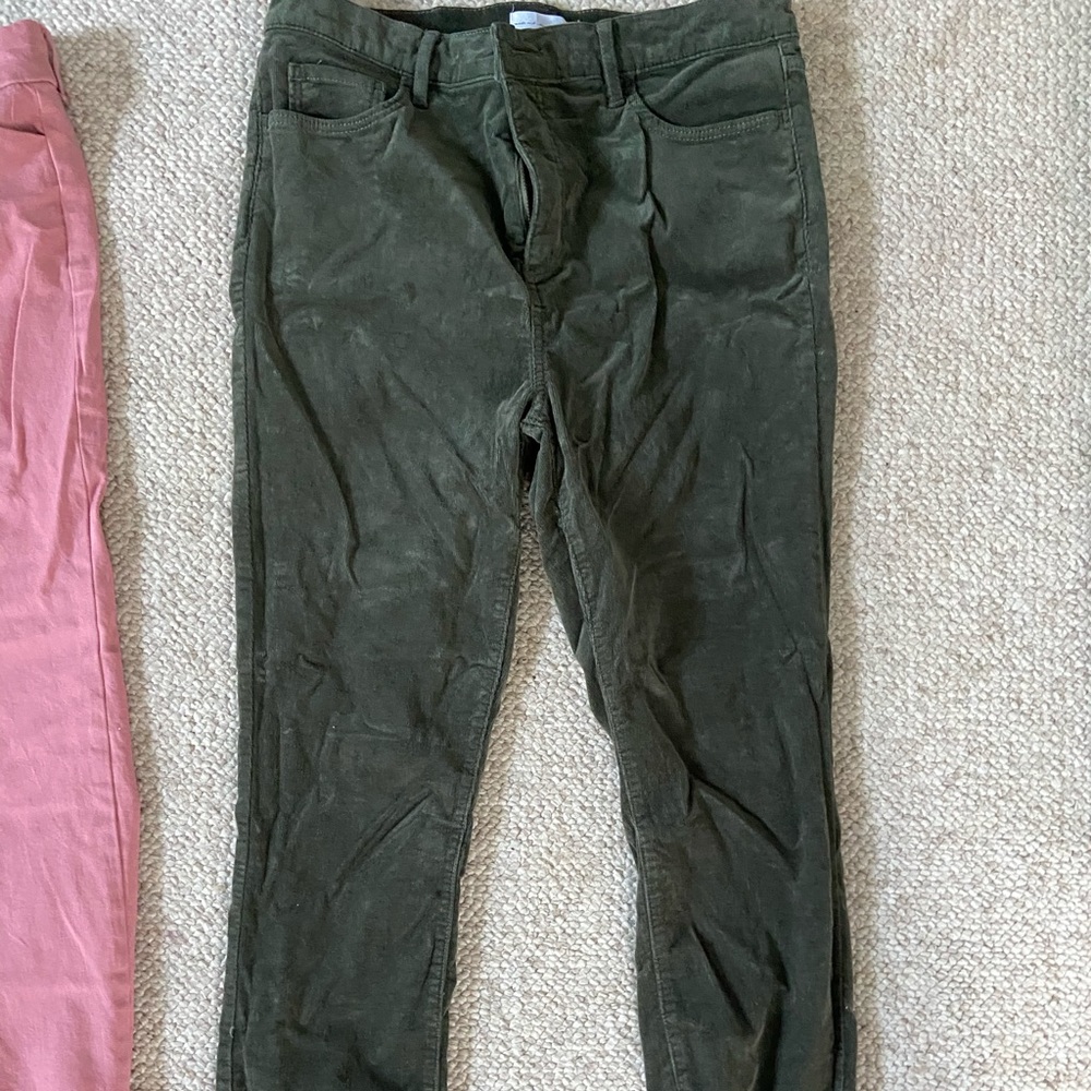 Loft Cordury Pant
